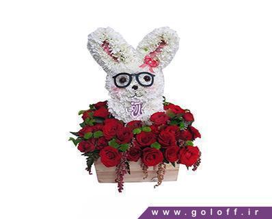 گل فروشی آنلاین - عروسک گل خرگوش - Flower Toy | گل آف